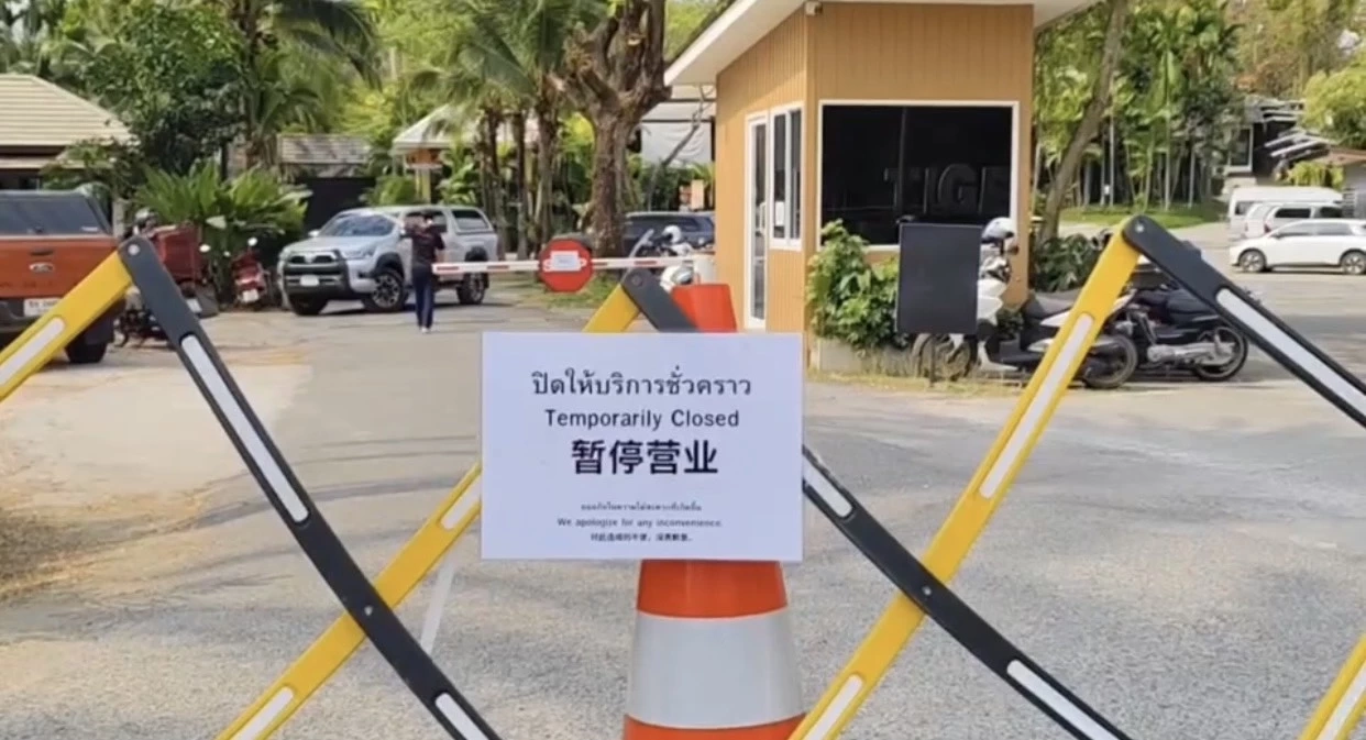 ปศุสัตว์แจงสาเหตุเสือโคร่งเสียชีวิตหมู่ พบเชื้อไวรัสไข้หัดสุนัข