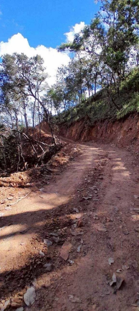 สั่งเด้ง "หน.เขตฯ แม่ยวมฝั่งขวา" ปมตัดถนนกลางป่าอนุรักษ์" หลัง "ชัยวัฒน์" โพสต์ปริศนา "ทุจริตกลางป่ากับเงิน 3 ล้าน"