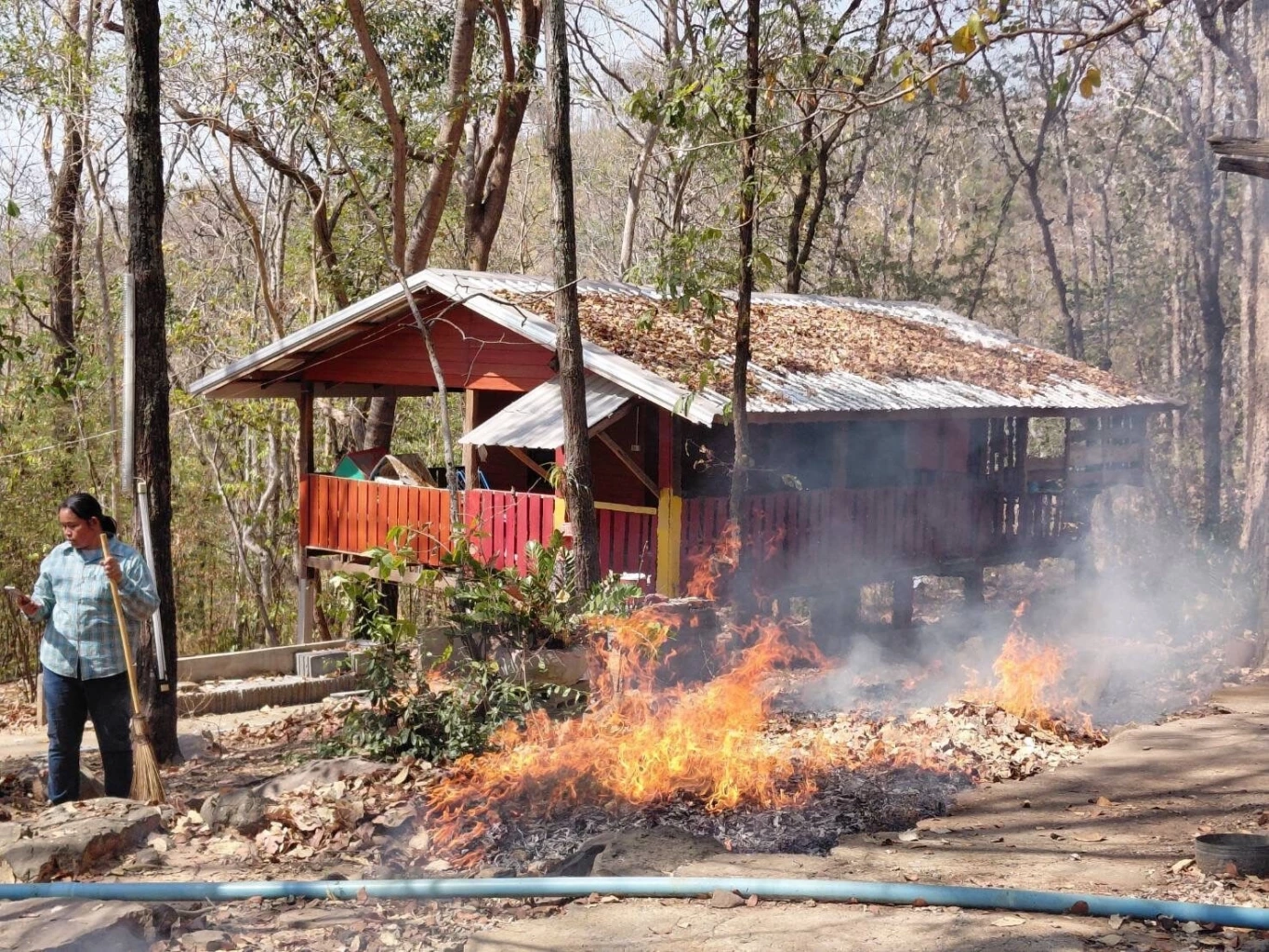 ว่าที่ สส.ชัยภูมิ วอนรัฐบาลใหม่ เร่งหามาตรการแก้ไฟป่าภูแลนคา