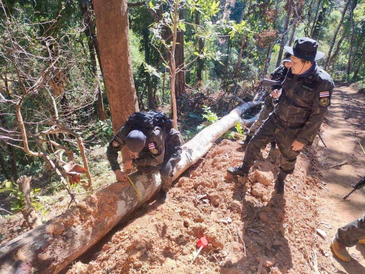 สั่งเด้ง "หน.เขตฯ แม่ยวมฝั่งขวา" ปมตัดถนนกลางป่าอนุรักษ์" หลัง "ชัยวัฒน์" โพสต์ปริศนา "ทุจริตกลางป่ากับเงิน 3 ล้าน"