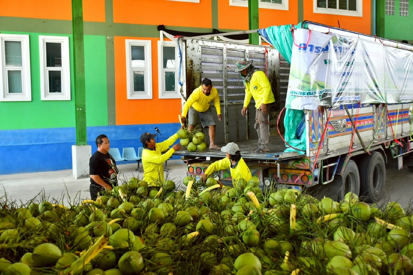 "สหกรณ์"หนุนแนวคิด "ล้งกลาง" มะพร้าวน้ำหอม ปลดแอกถูกกดราคา