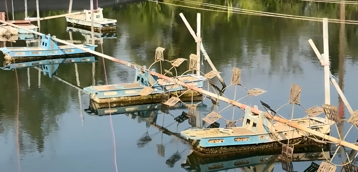 คนเลี้ยงกุ้งฉะเชิงเทราโอด! "ดีเซล-แก๊สโซฮอล์ " ขาดตลาด เสียหายยกบ่อ (มีคลิป)