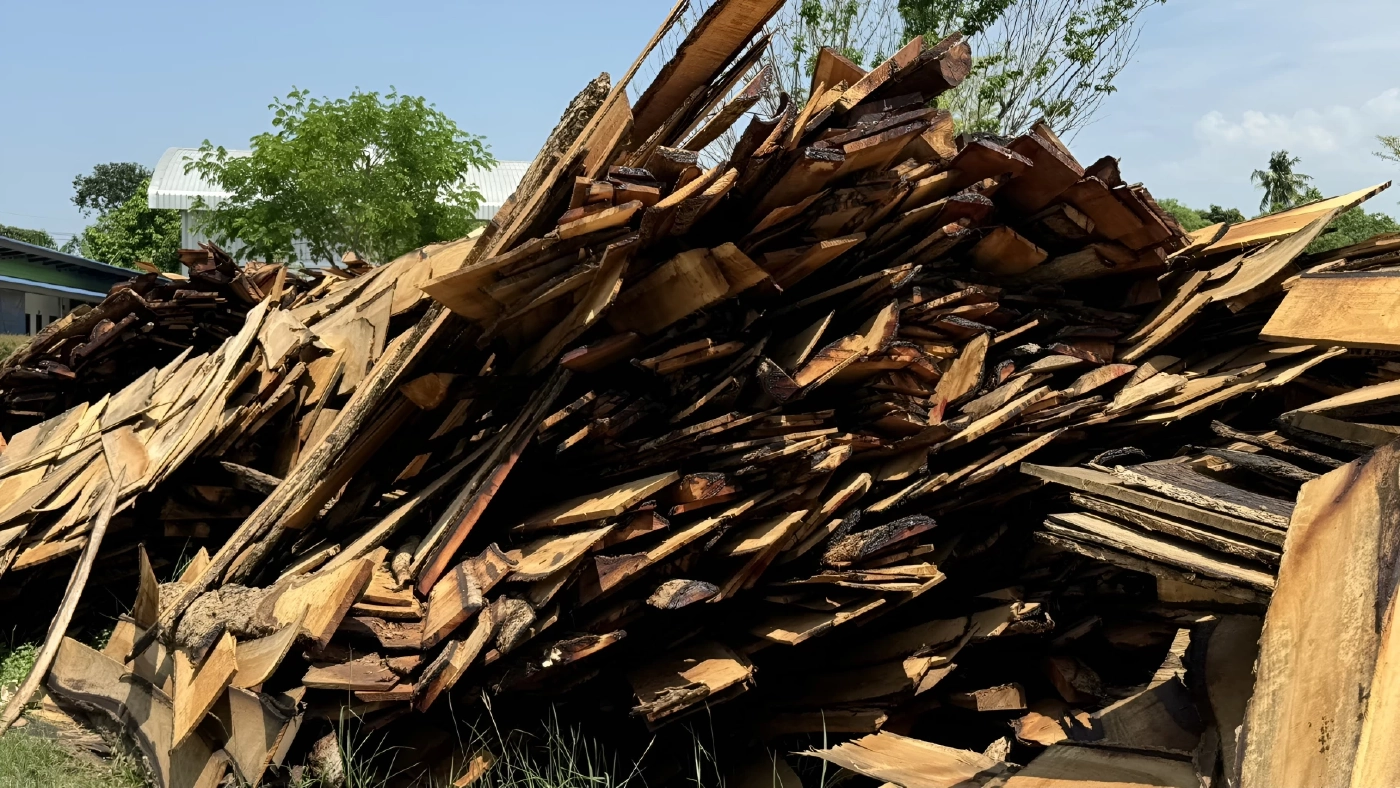 ทลายโกดัง ขบวนการ "ค้าไม้ข้ามชาติ" ส่งขายให้คนจีน มูลค่านับพันล้าน