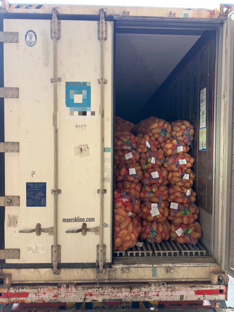 กรมศุลกากร แจงยิบ ปมนำเข้ามะม่วง "กัมพูชา"