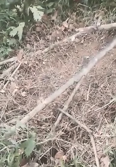 เปิดคลิป! ชายแดนใต้ผวา! “ฮ.ปริศนา” บินต่ำ - ยิงถล่มเป้าหมาย