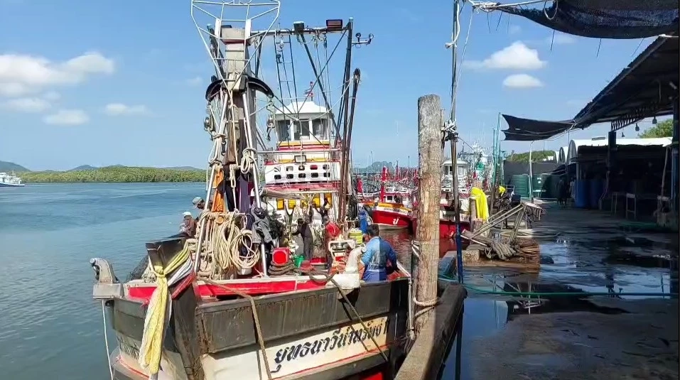 ประมงกระบี่อั้นไม่ไหวน้ำมันเขียวพุ่งลิตรละ 35 อาหารทะเลจ่อขยับราคา