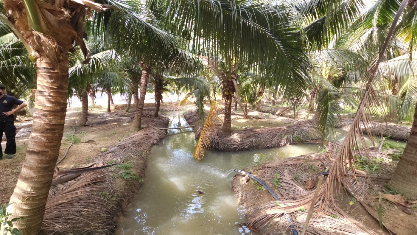 น้ำมันหายาก! ทางรอดสุดท้าย "โซล่าร์เซลล์" ช่วยชีวิตเกษตรกร (มีคลิป)