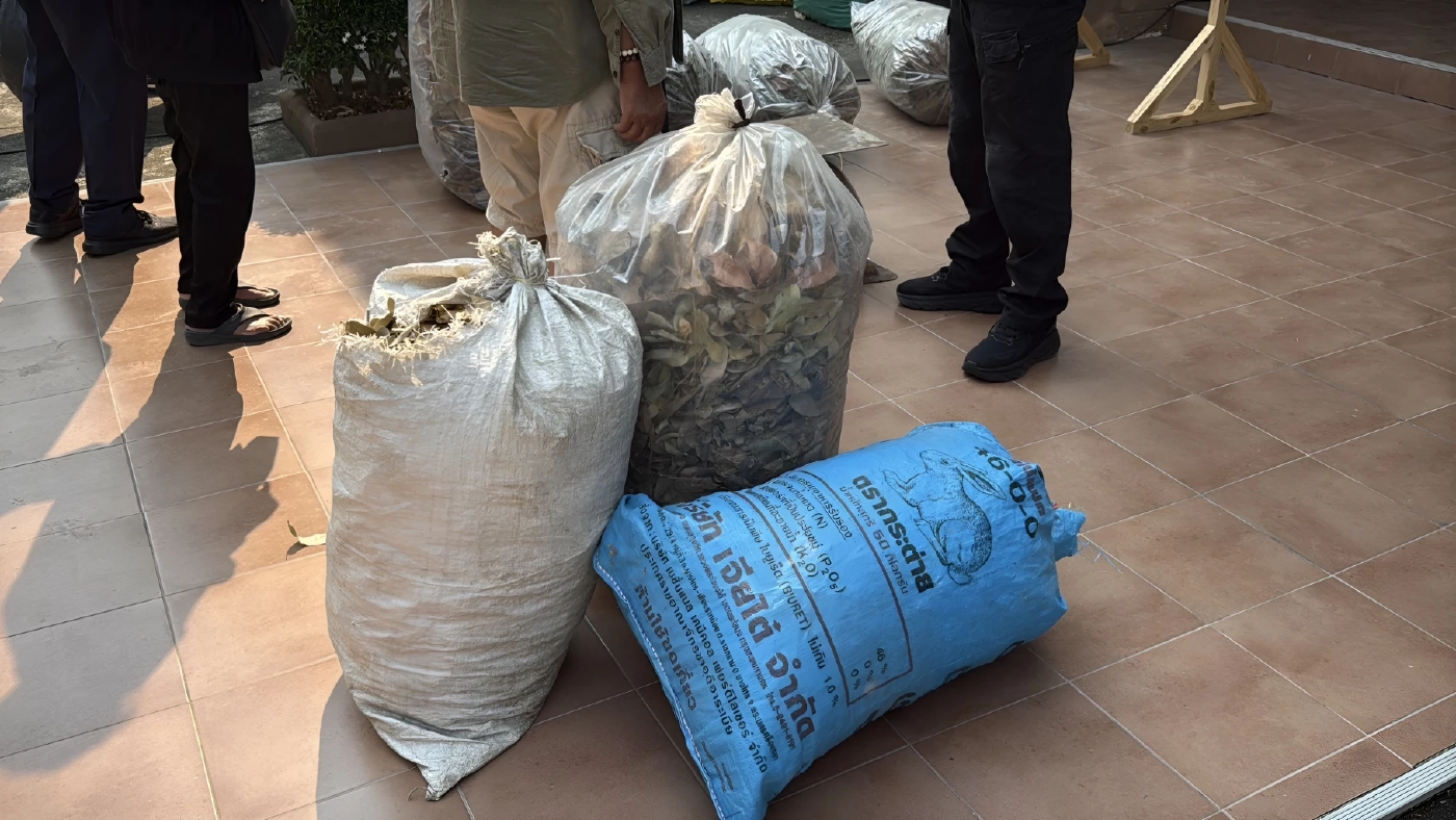 เชียงใหม่ไอเดียเจ๋ง! เปิดตลาดนัด "ใบไม้แลกไข่" สันกำแพงโมเดล สกัดเผาป่า-ลดค่าครองชีพสู้พิษเศรษฐกิจ