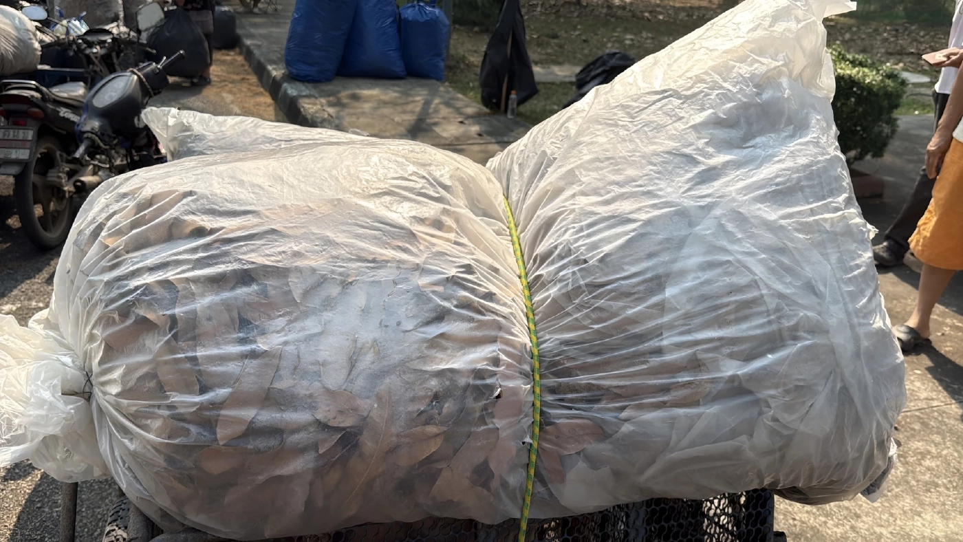 เชียงใหม่ไอเดียเจ๋ง! เปิดตลาดนัด "ใบไม้แลกไข่" สันกำแพงโมเดล สกัดเผาป่า-ลดค่าครองชีพสู้พิษเศรษฐกิจ