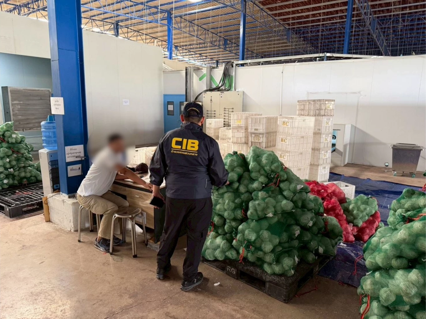 ปอศ.บุกทลายนอมินีจีน ฮุบธุรกิจมะพร้าวไทย สั่งคุมราคาจากต่างแดน