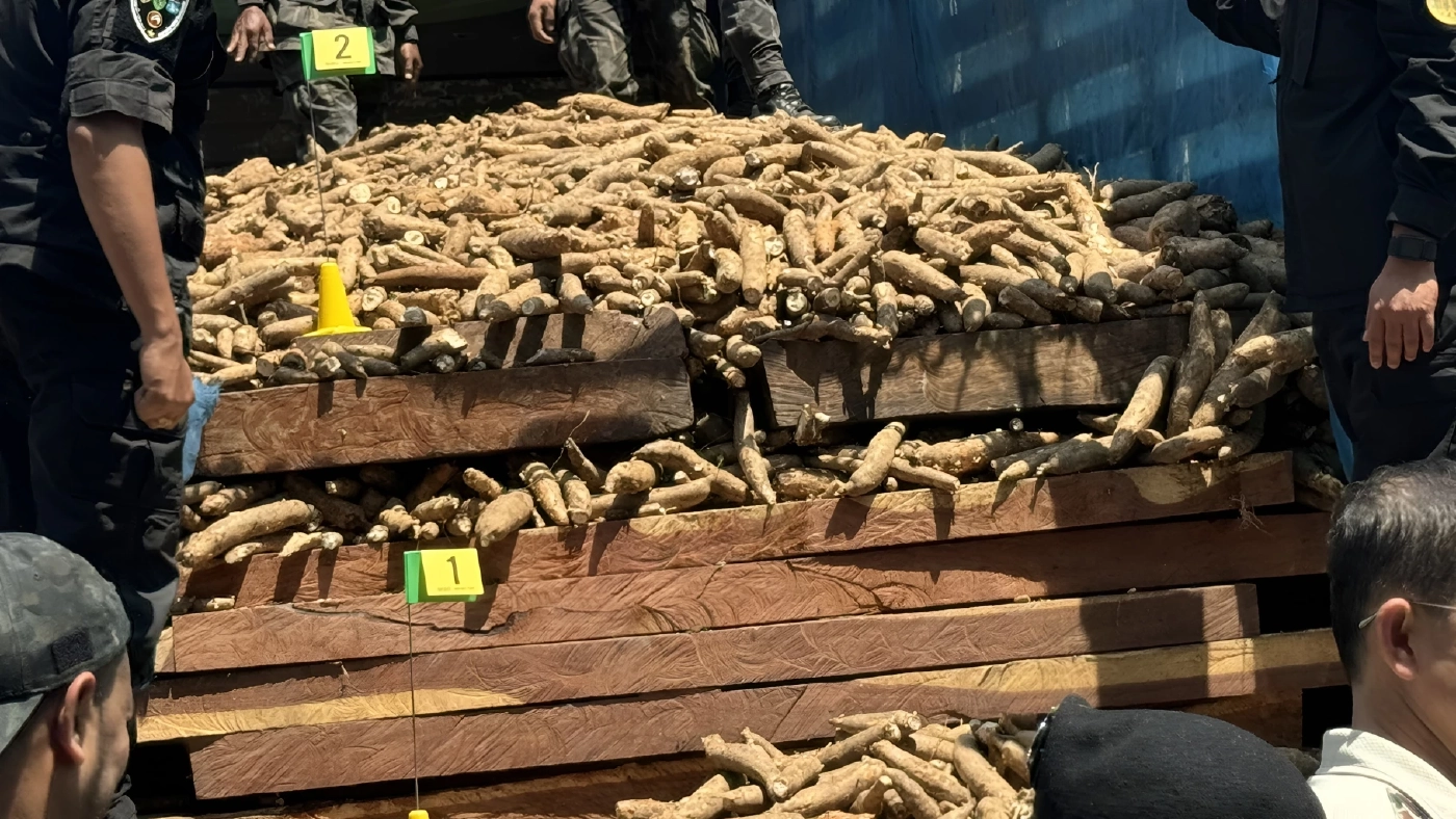 ทลายโกดัง ขบวนการ "ค้าไม้ข้ามชาติ" ส่งขายให้คนจีน มูลค่านับพันล้าน