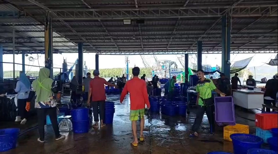 ประมงกระบี่อั้นไม่ไหวน้ำมันเขียวพุ่งลิตรละ 35 อาหารทะเลจ่อขยับราคา