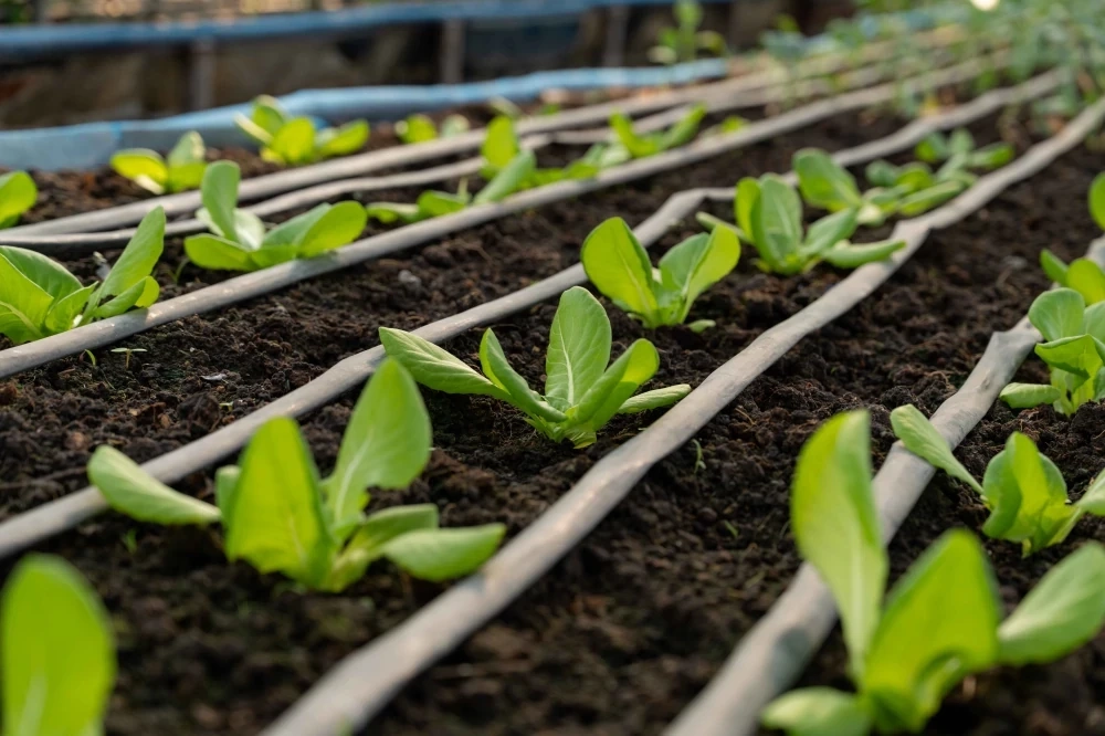 GULF ผนึก ปิดทองหลังพระฯ ชูความเชี่ยวชาญด้านพลังงานหมุนเวียน ติดตั้งระบบสูบน้ำโซลาร์บ้านโคกล่าม-บ้านแสงอร่าม จ.อุดรฯ ยกระดับคุณภาพชีวิตสร้างรายได้ยั่งยืน