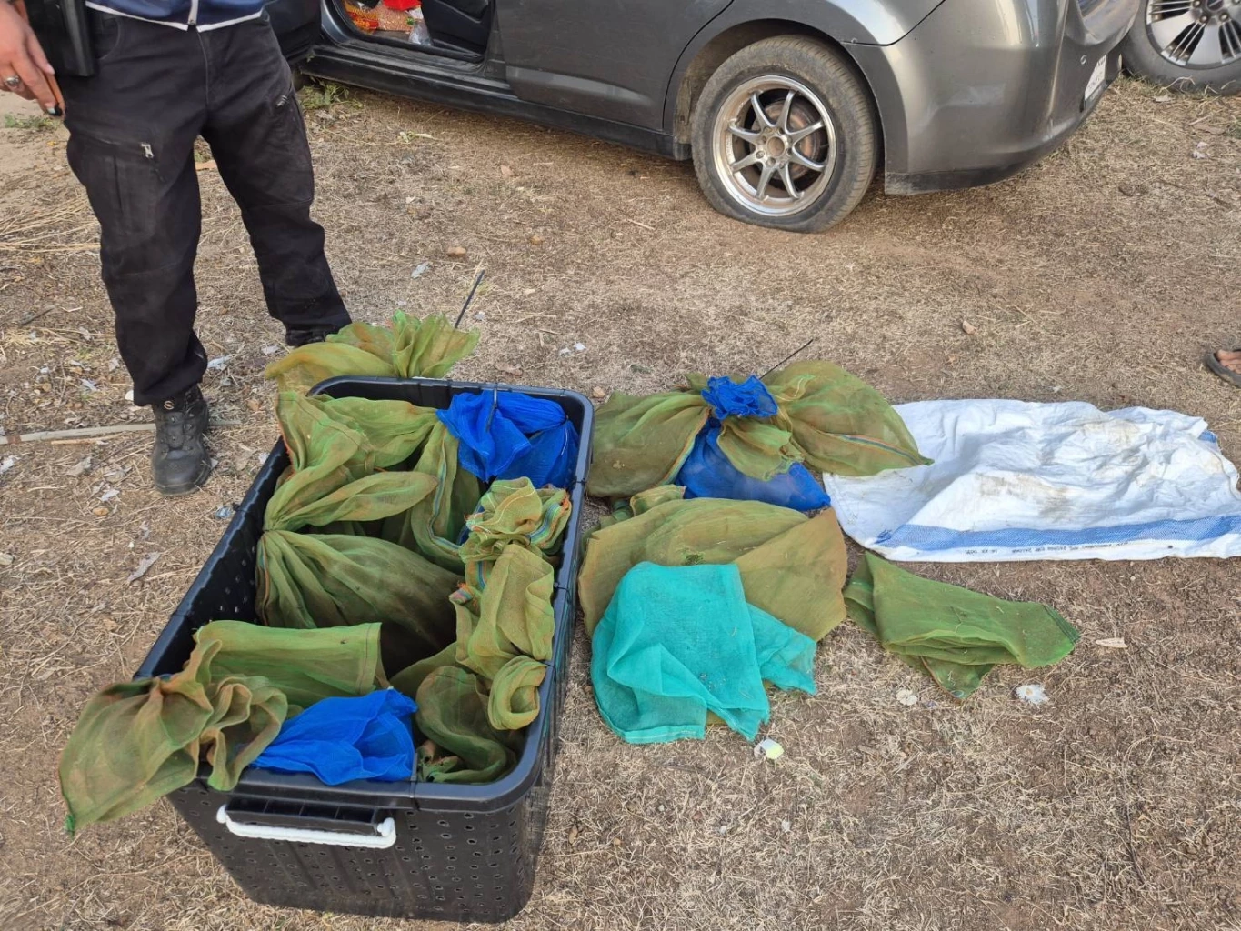 รมว.ทส.สั่งทลายเครือข่ายค้าลิงแสมข้ามชาติ หลังรวบของกลาง 38 ตัว