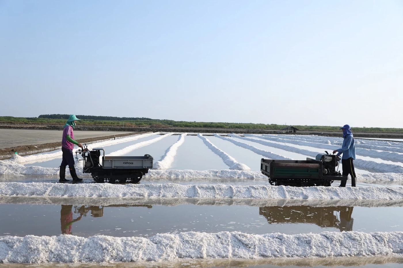 "กรมส่งเสริมการเกษตร" ดึงเครือข่ายบูรณาการ"เกลือทะเลไทย"  รักษาเสถียรภาพราคา