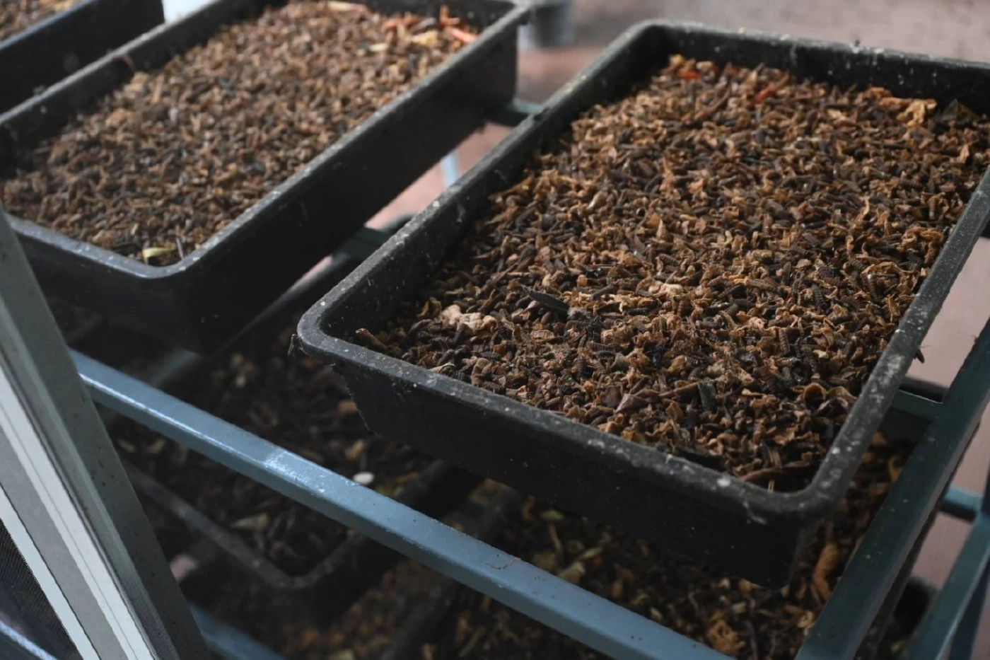 น้ำมันพืชกุ๊ก รุกโครงการ “End of Waste” ปี 2569 ปั้นโรงเรียนต้นแบบจัดการขยะอินทรีย์