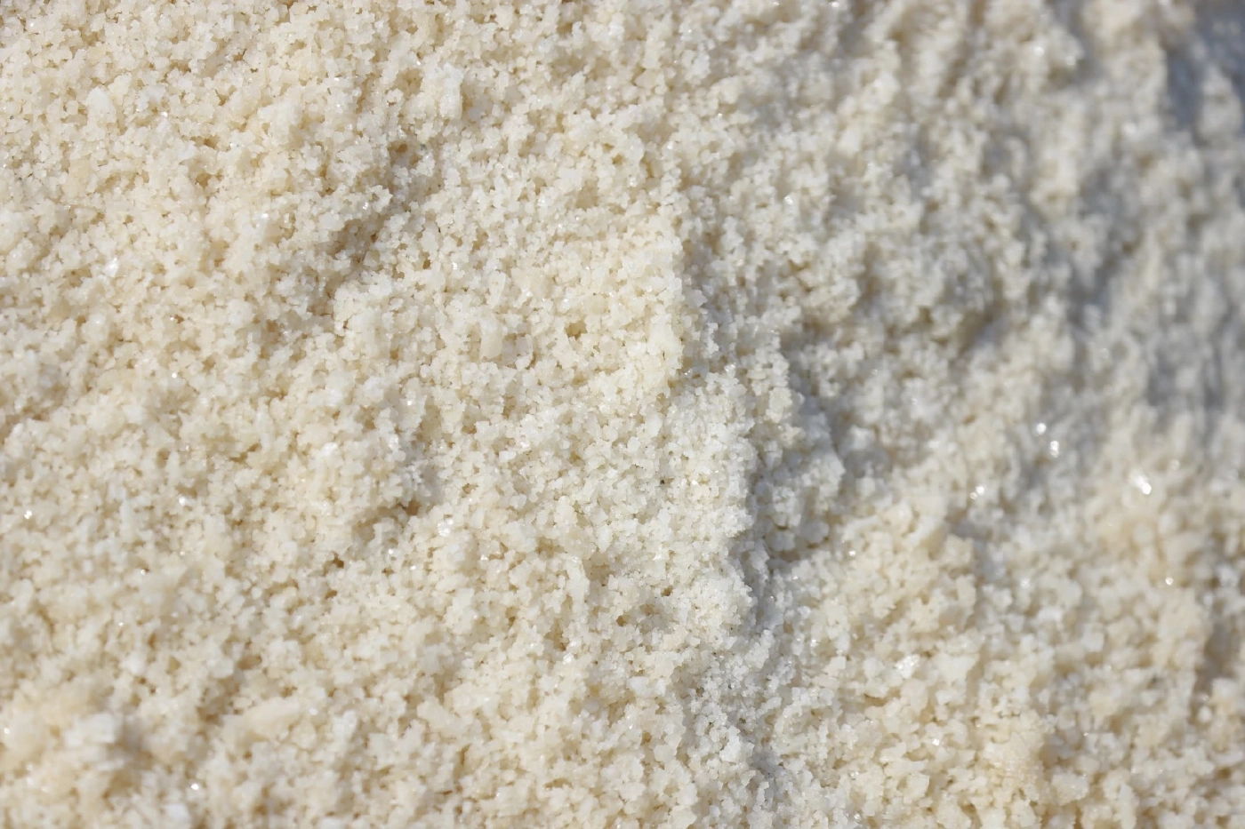 "กรมส่งเสริมการเกษตร" ดึงเครือข่ายบูรณาการ"เกลือทะเลไทย"  รักษาเสถียรภาพราคา