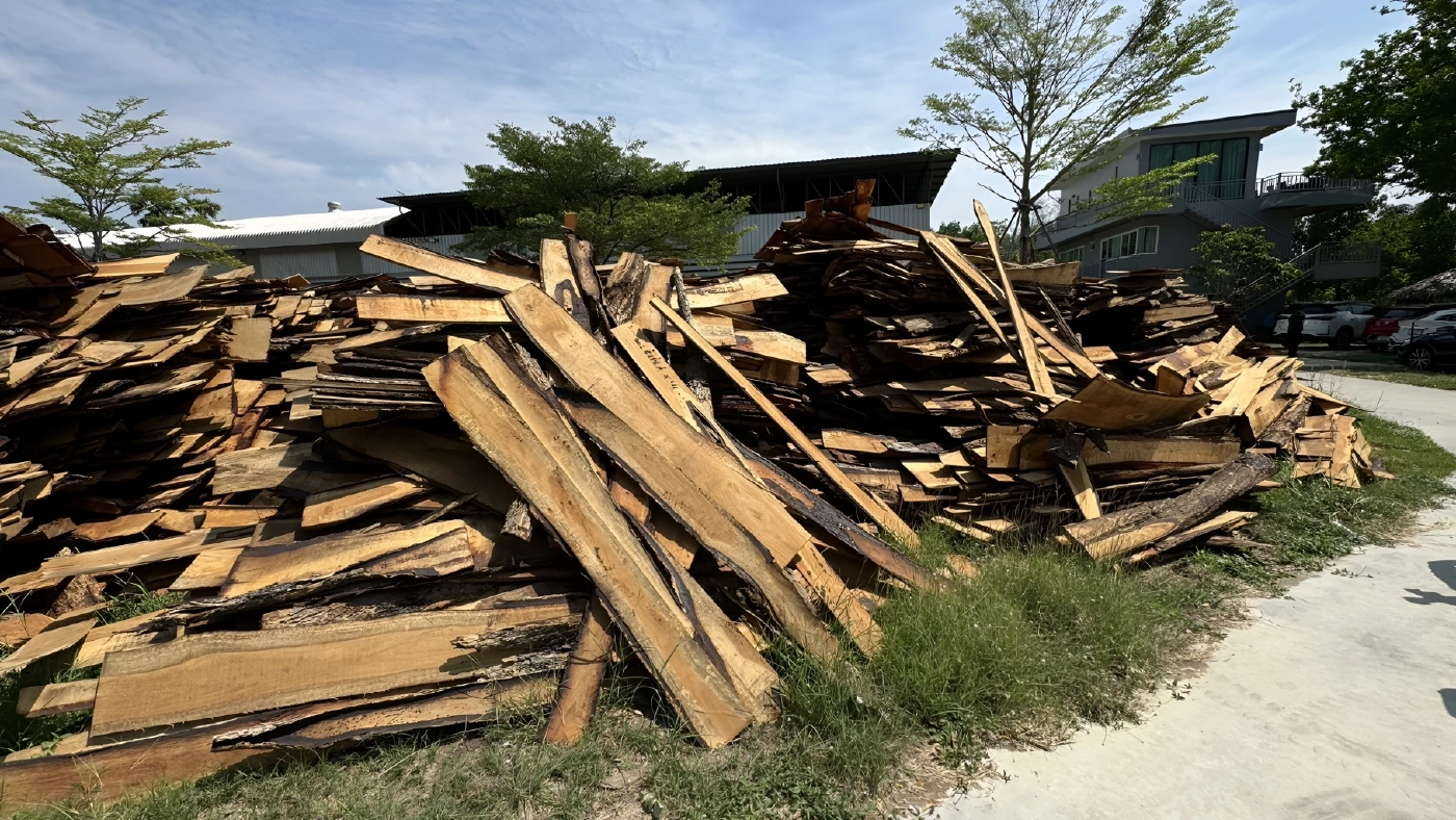 ทลายโกดัง ขบวนการ "ค้าไม้ข้ามชาติ" ส่งขายให้คนจีน มูลค่านับพันล้าน