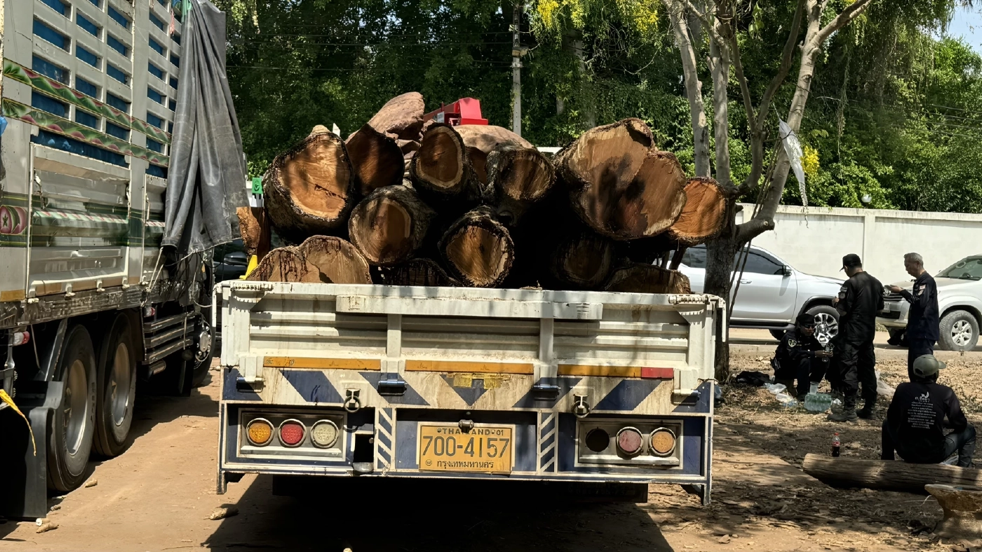 ทลายโกดัง ขบวนการ "ค้าไม้ข้ามชาติ" ส่งขายให้คนจีน มูลค่านับพันล้าน