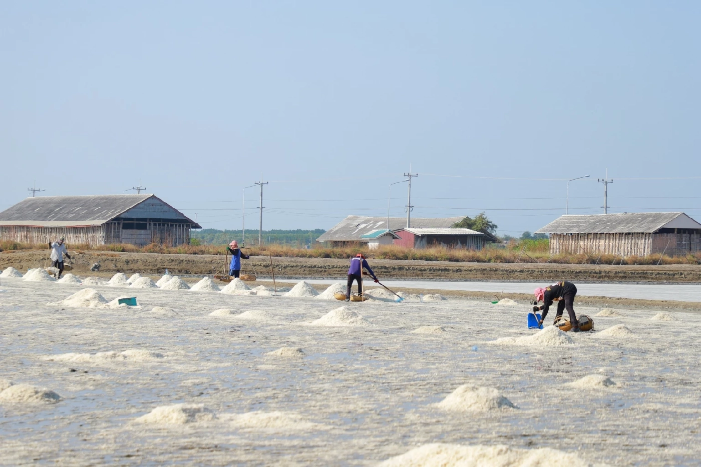 "กรมส่งเสริมการเกษตร" ดึงเครือข่ายบูรณาการ"เกลือทะเลไทย"  รักษาเสถียรภาพราคา