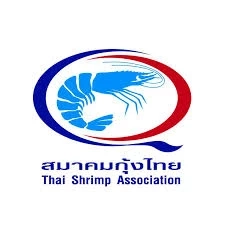 กุ้งไทยมีเฮ ภาษีทรัมป์รอบใหม่แข่งได้ฉลุย เกษตรกรมั่นใจลงเลี้ยงเพิ่มดันผลผลิตทะลุ 4 แสนตัน
