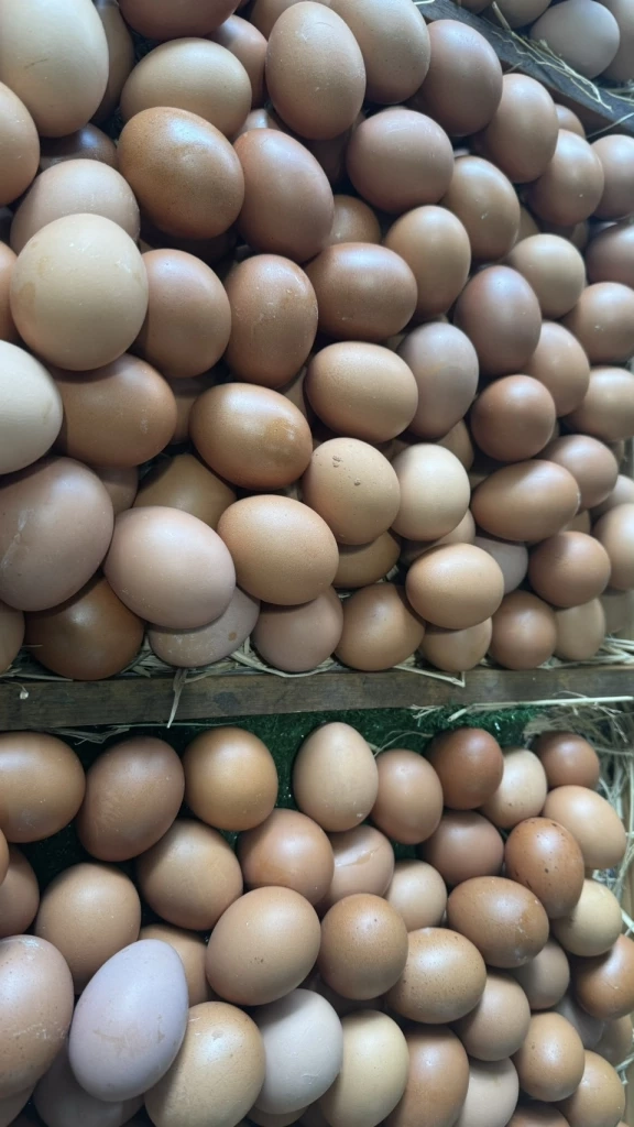 แพงยกแผง! แม่ค้าตลาดสดกัดฟัน "แบกต้นทุน" หวั่นขึ้นราคาแล้วลูกค้าหาย