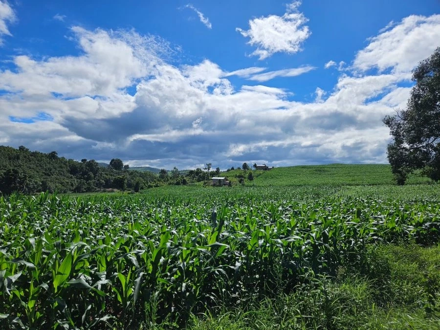 ซีพีเร่งห่วงโซ่อุปทานเกษตร ใช้ Traceability–คาร์บอนต่ำ ยกระดับสู่ตลาดโลก