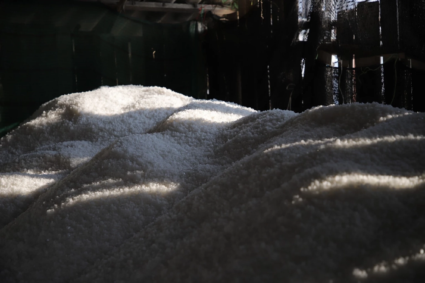 "กรมส่งเสริมการเกษตร" ดึงเครือข่ายบูรณาการ"เกลือทะเลไทย"  รักษาเสถียรภาพราคา