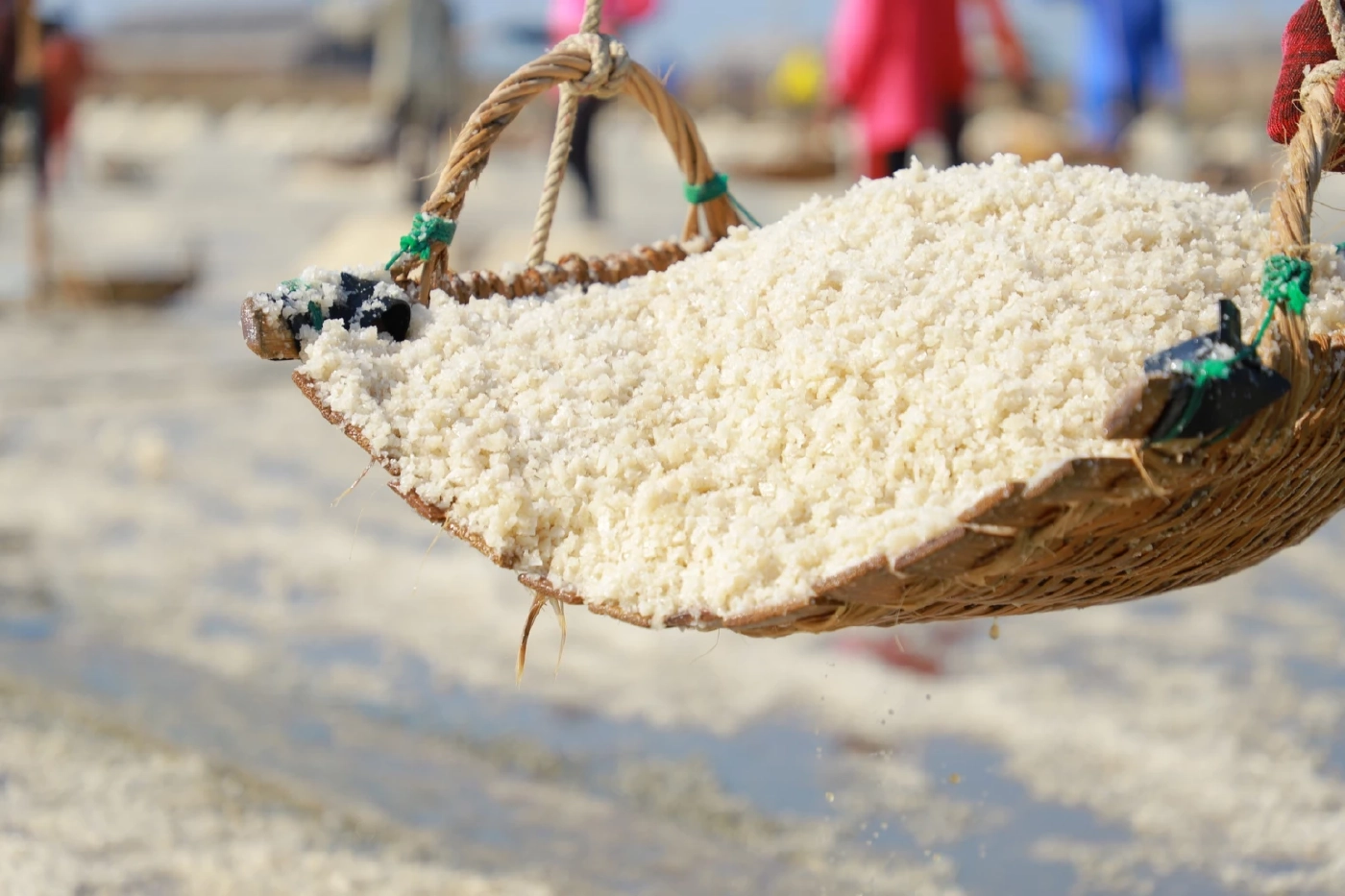 "กรมส่งเสริมการเกษตร" ดึงเครือข่ายบูรณาการ"เกลือทะเลไทย"  รักษาเสถียรภาพราคา