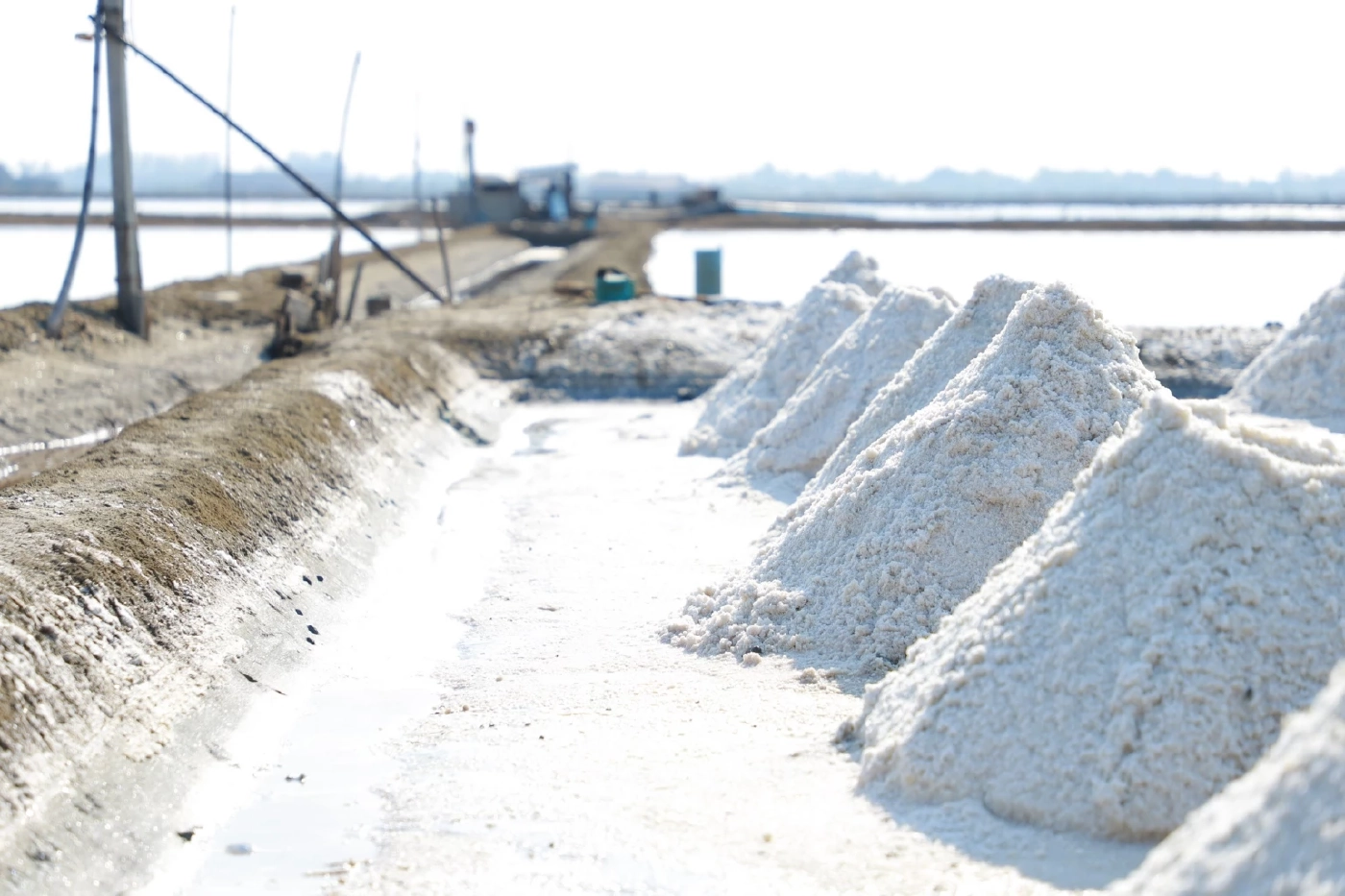 "กรมส่งเสริมการเกษตร" ดึงเครือข่ายบูรณาการ"เกลือทะเลไทย"  รักษาเสถียรภาพราคา