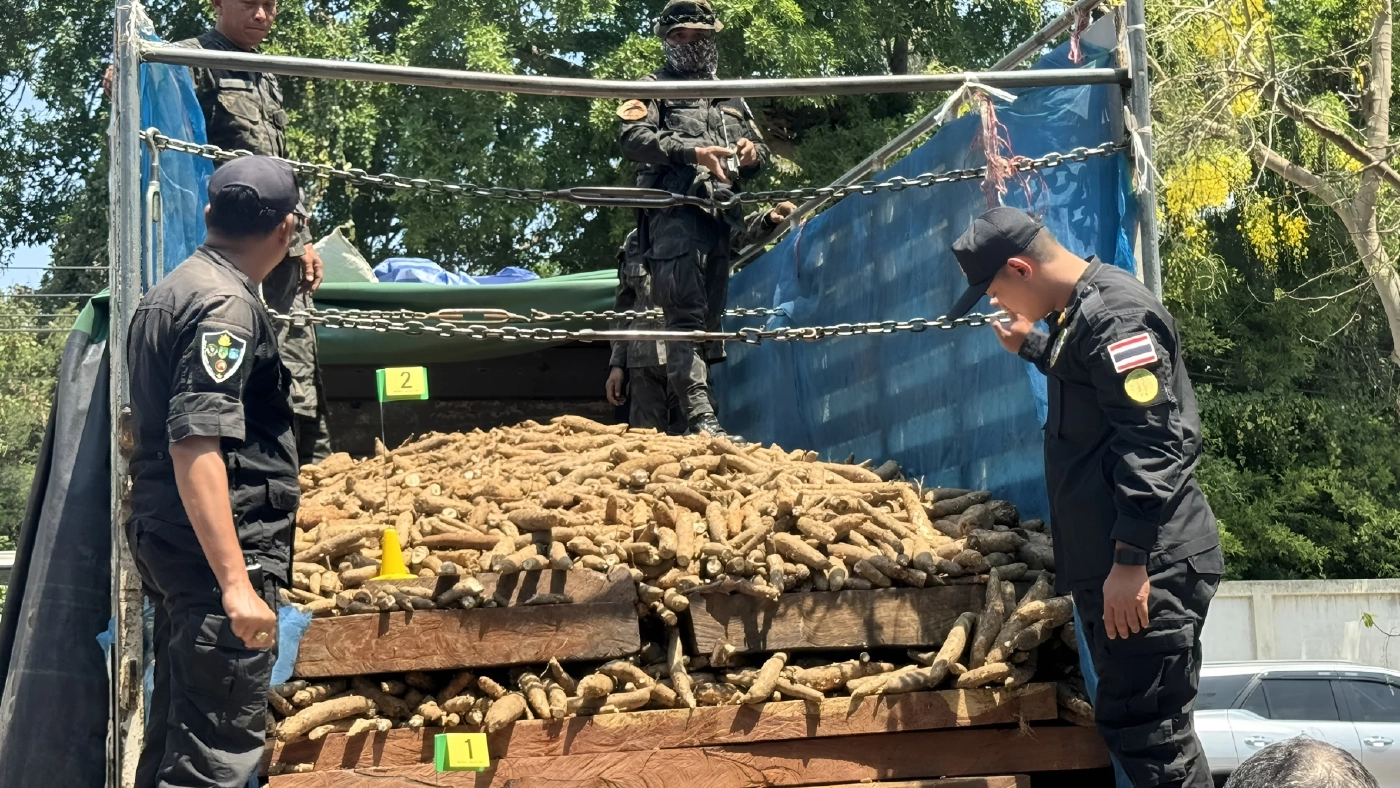 ทลายโกดัง ขบวนการ "ค้าไม้ข้ามชาติ" ส่งขายให้คนจีน มูลค่านับพันล้าน