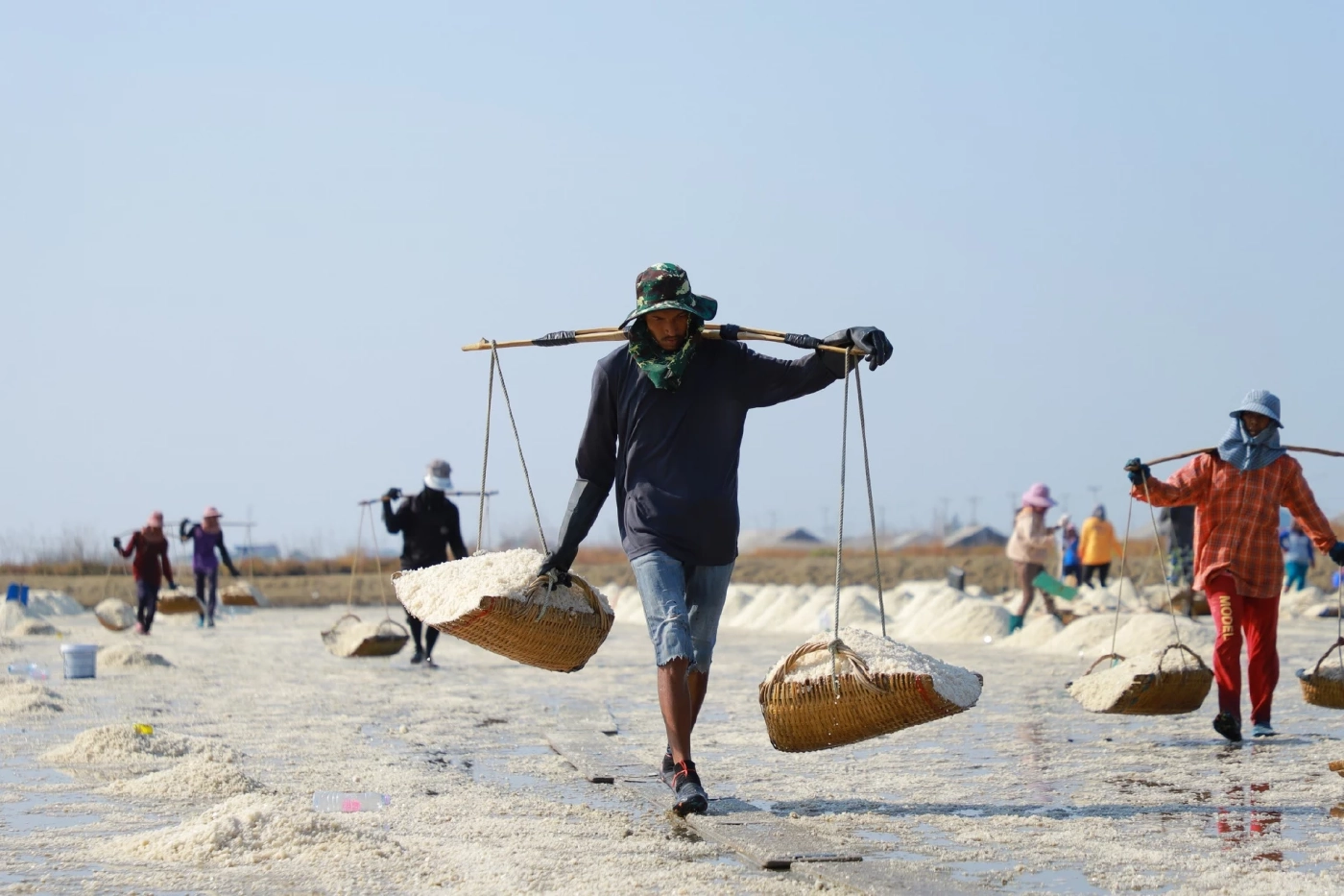 "กรมส่งเสริมการเกษตร" ดึงเครือข่ายบูรณาการ"เกลือทะเลไทย"  รักษาเสถียรภาพราคา