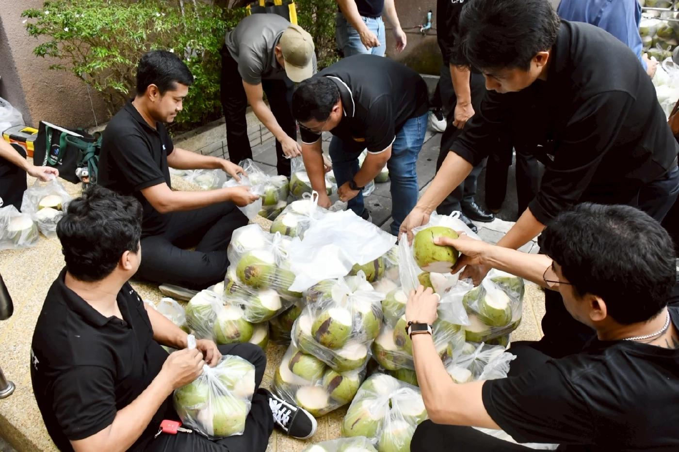 "สหกรณ์"หนุนแนวคิด "ล้งกลาง" มะพร้าวน้ำหอม ปลดแอกถูกกดราคา