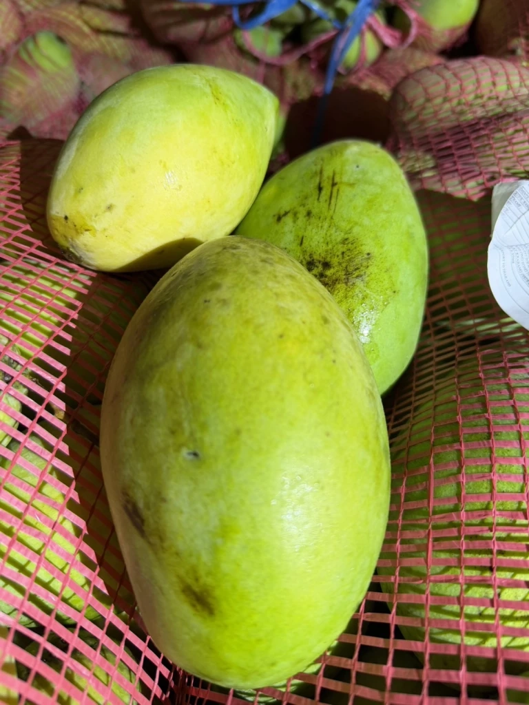 กรมศุลกากร แจงยิบ ปมนำเข้ามะม่วง "กัมพูชา"