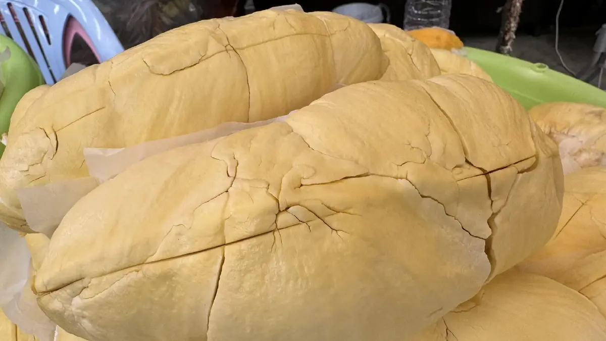 เดือด! "แม่ค้าตลาดสี่มุมเมือง" ชี้ ทุเรียนลูกละ 100 หวั่นทุบกลไกราคา-รายย่อยตายเกลื่อน