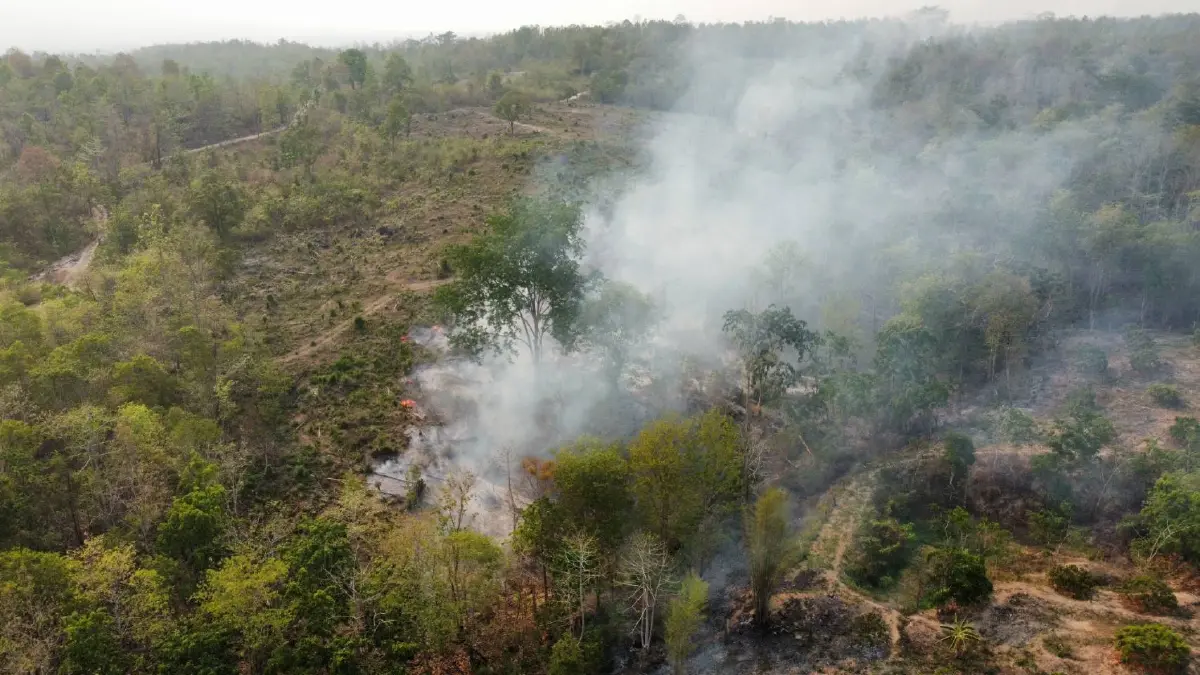สั่งลุยแก้ไฟป่า! "รัฐบาล" ยกระดับเชิงรุก ตั้ง War Room เข้มข้นทุกพื้นที่
