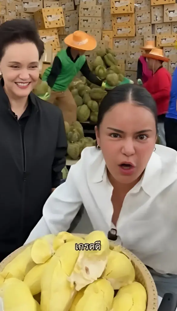 จับโป๊ะ! "ไอติม พริษฐ์" บี้ "ศุภจี" ปม "ทุเรียน" ลูกละ 100 บาท ตอบให้ชัดเกรดเอหรือเกรดรอง? ชี้ใช้ "พิมรี่พาย" ช่วยขายไม่ผิด