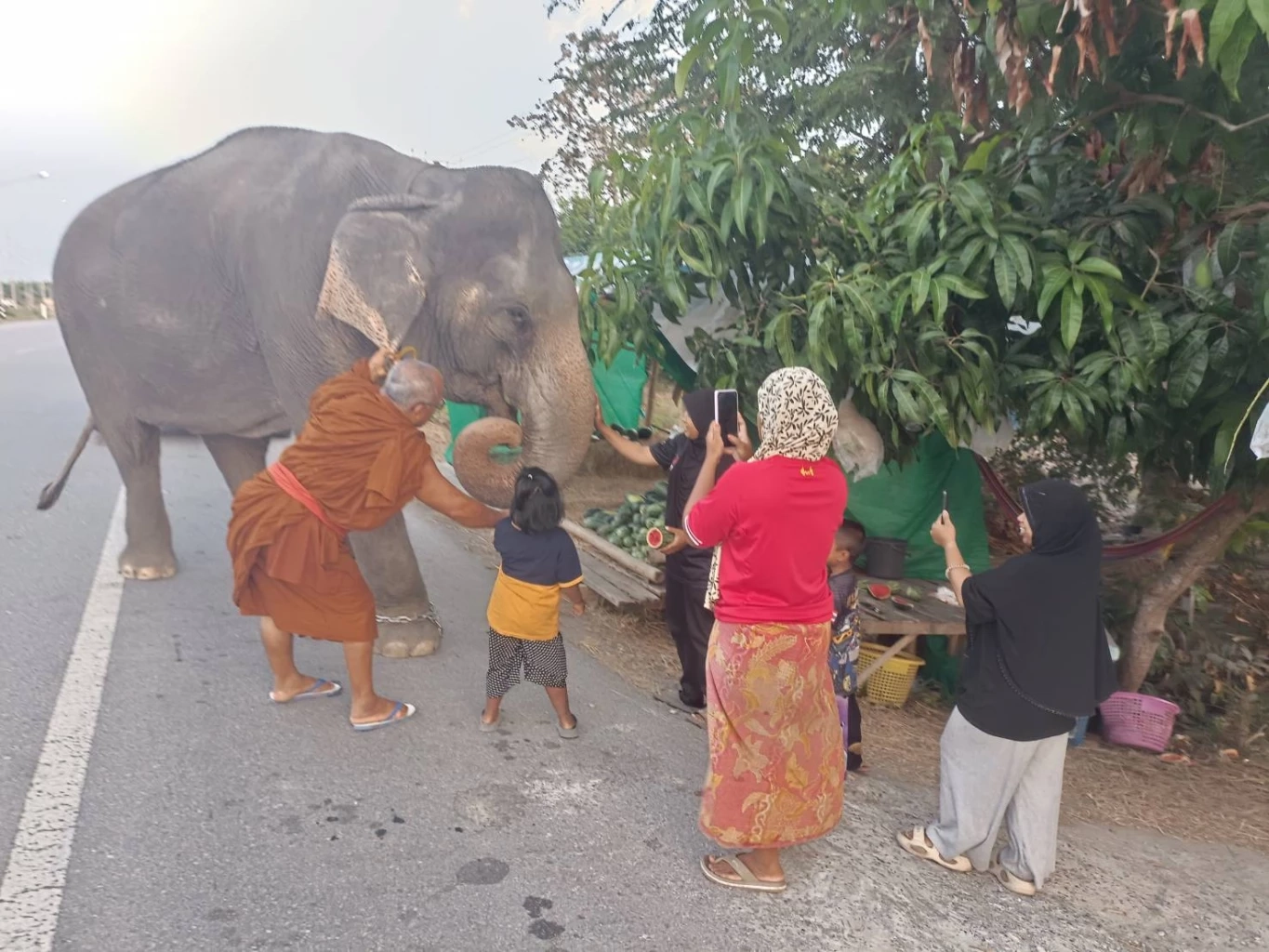 ศรัทธาไร้พรมแดน! "ท่านเวาะห์โต๊ะกือป๊ะ" พระภิกษุผู้เป็นที่พึ่ง "ไทยพุทธ-ไทยมุสลิม" ทูตวัฒนธรรมมลายู