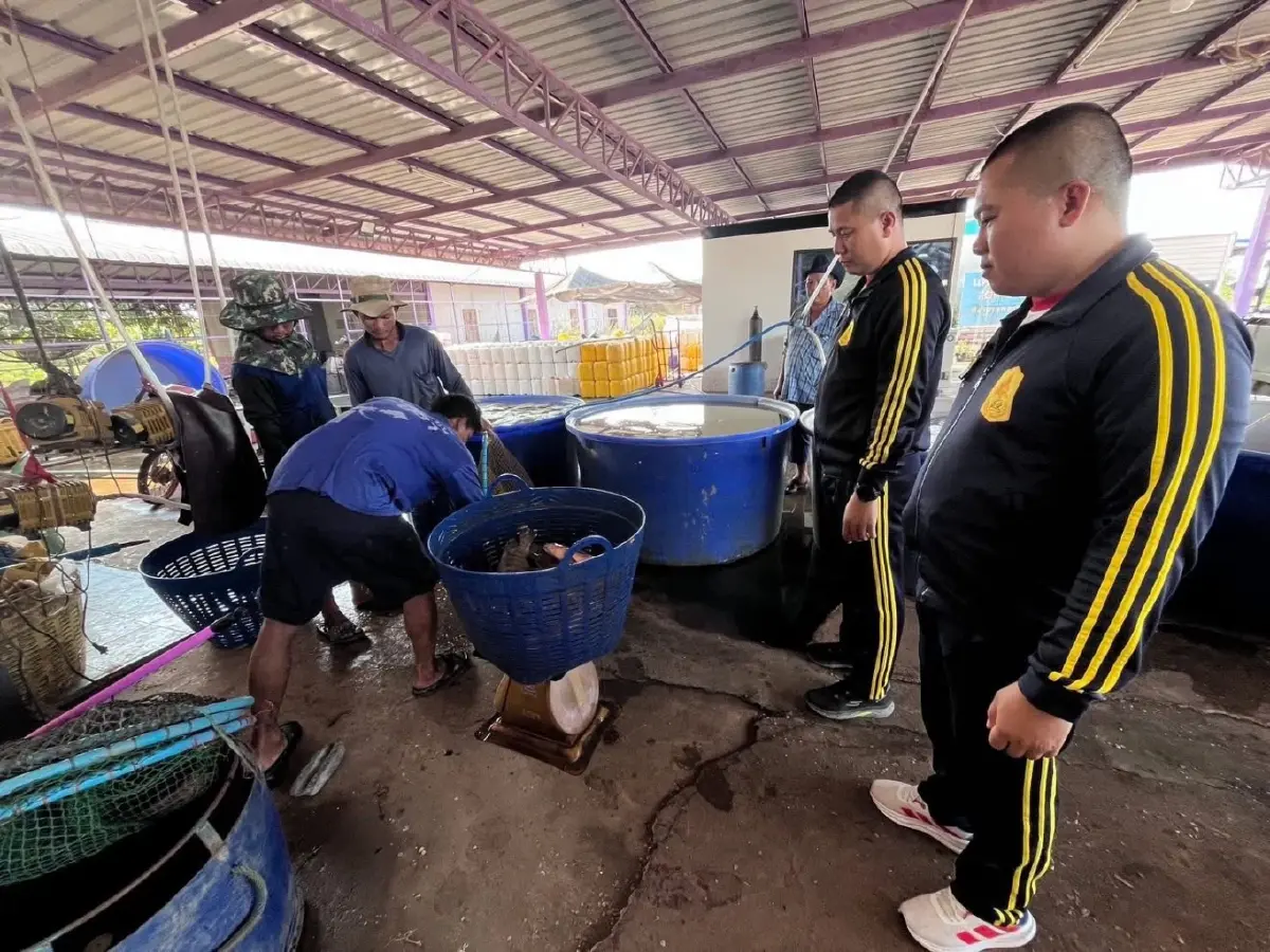 ทหารไทยยุคใหม่ ทภ.1 ระดมกำลังช่วยเหลือเกษตรกร ฝ่าวิกฤตพลังงาน