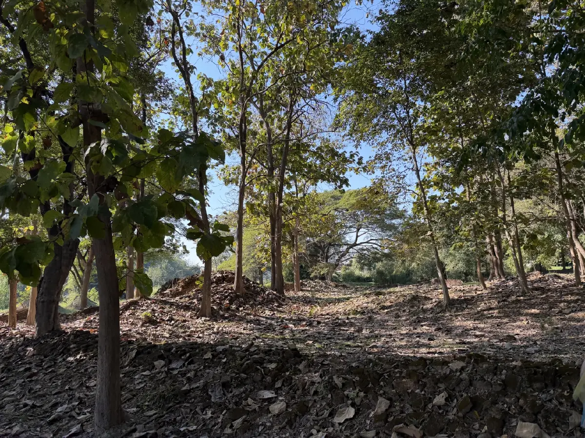 ชวนทำบุญปฏิสังขรณ์ “กุฏิไม้โบราณ” วัดกู่คำ เมืองลำปาง