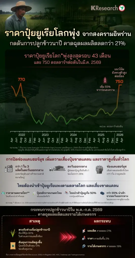 สงครามอิหร่าน ดันราคาปุ๋ยยูเรียโลกพุ่ง ฉุดผลผลิตข้าวนาปีวูบ 21%