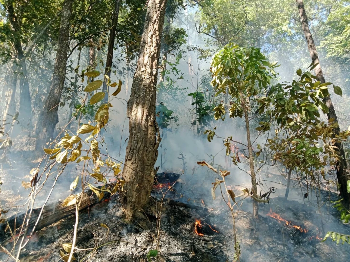 "มานพ" ชี้สมการไฟป่าเชียงใหม่ซับซ้อน จี้รัฐปรับงบเน้นป้องกัน