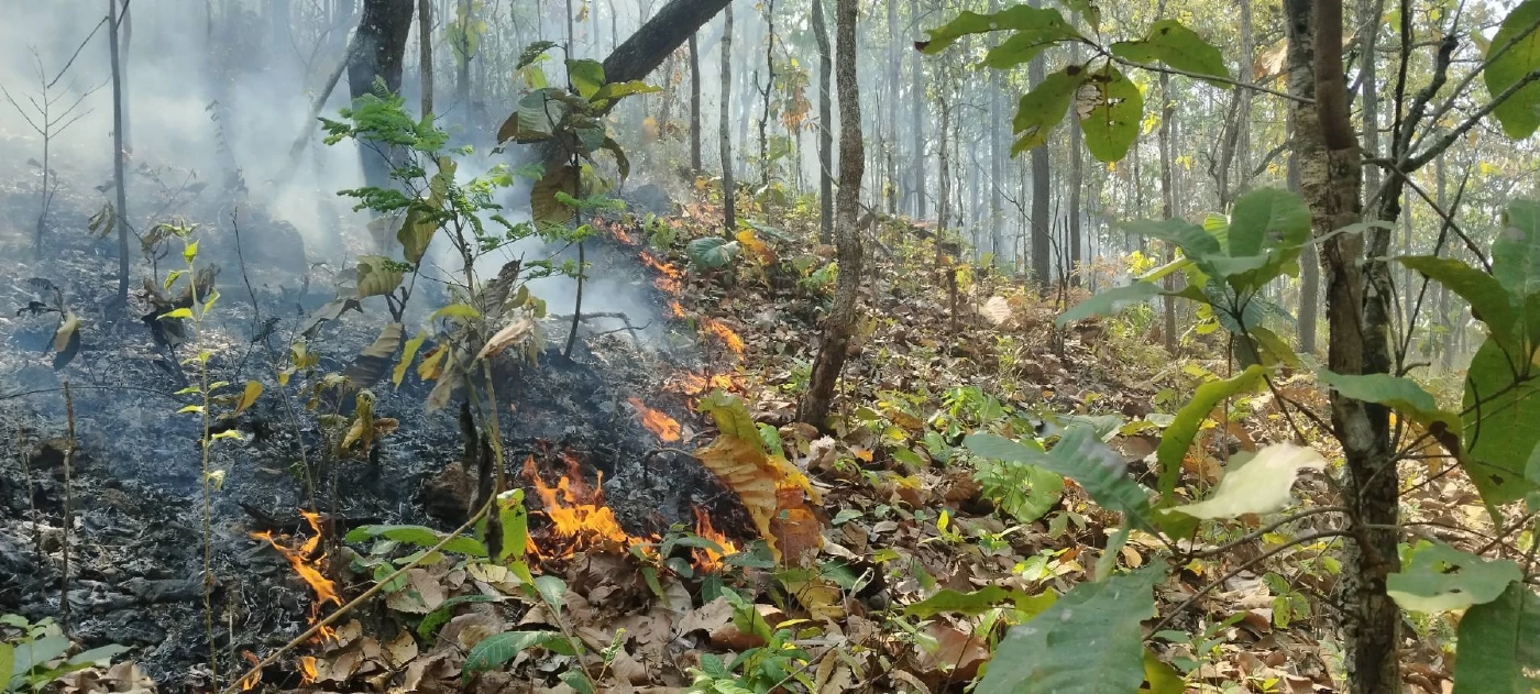 "มานพ" ชี้สมการไฟป่าเชียงใหม่ซับซ้อน จี้รัฐปรับงบเน้นป้องกัน