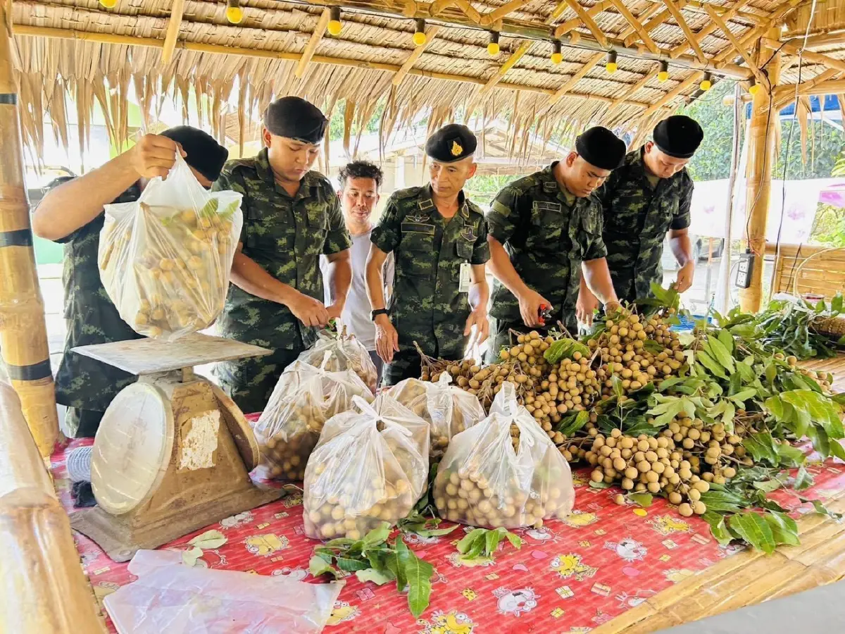 ทหารไทยยุคใหม่ ทภ.1 ระดมกำลังช่วยเหลือเกษตรกร ฝ่าวิกฤตพลังงาน