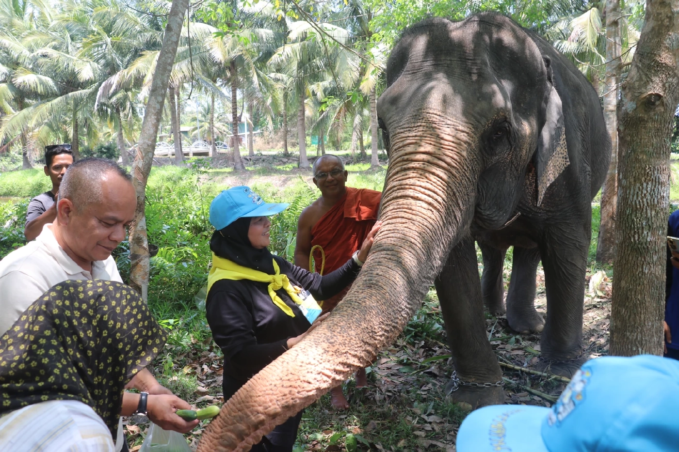 ผู้ว่าฯ ปัตตานี เข้าเยี่ยม “ท่านเวาะห์” พระเลี้ยงช้าง สัญลักษณ์สันติสุข