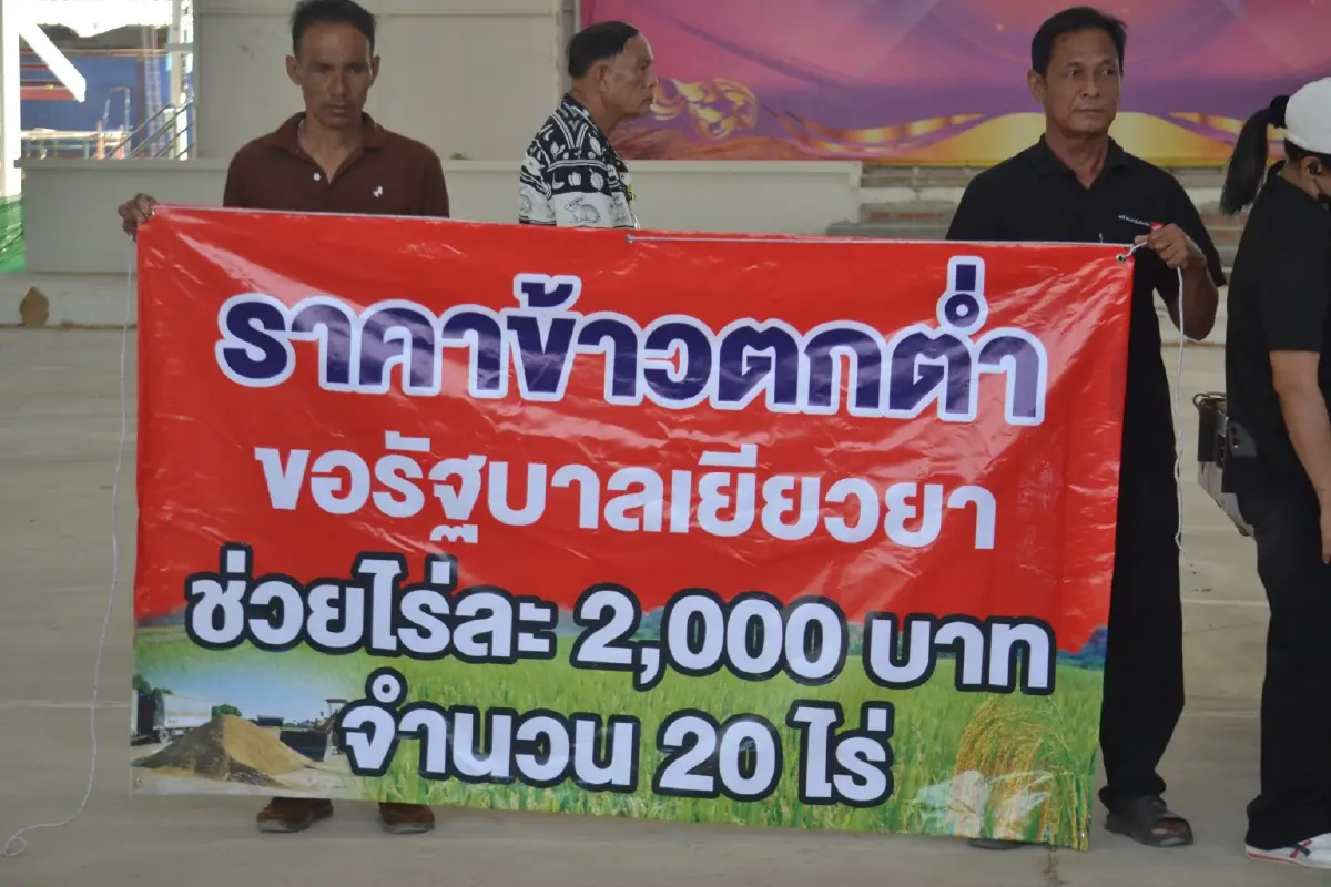 ไม่ไหวแล้ว! "ชาวนาพิษณุโลก" บุกจี้รัฐคุม "น้ำมัน-ปุ๋ยแพง" แต่ "ข้าวถูก" ก่อนสิ้นเนื้อประดาตัว