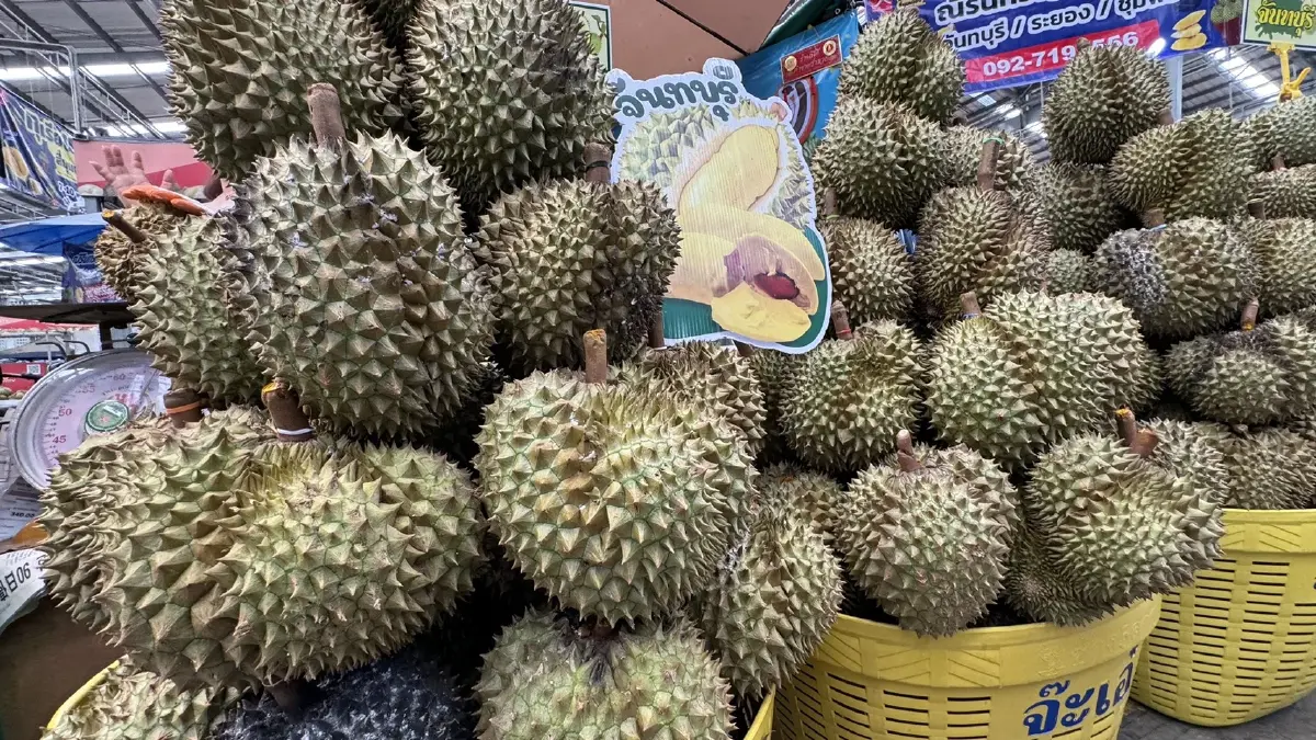 เดือด! "แม่ค้าตลาดสี่มุมเมือง" ชี้ ทุเรียนลูกละ 100 หวั่นทุบกลไกราคา-รายย่อยตายเกลื่อน