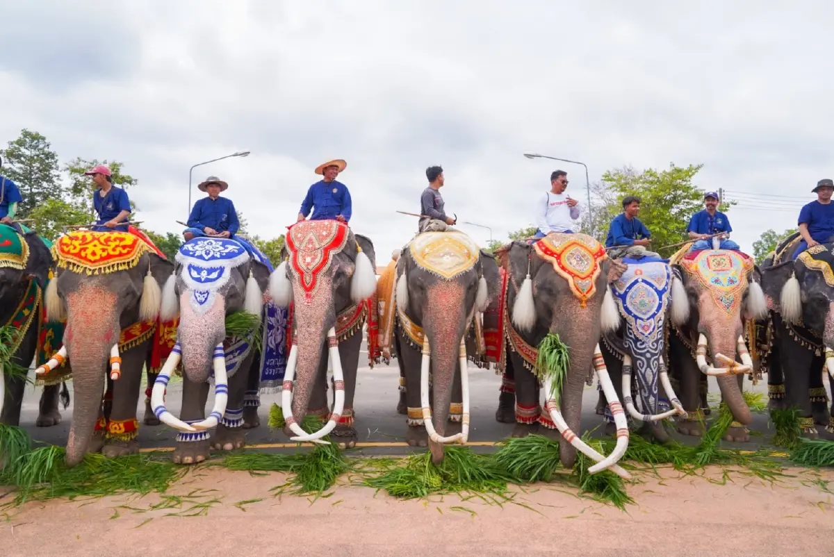 องค์การสวนสัตว์ฯ ดัน "คชอาณาจักร" แหล่งรวมช้างมากที่สุดในโลก มิติใหม่แห่งการอนุรักษ์ (มีคลิป)