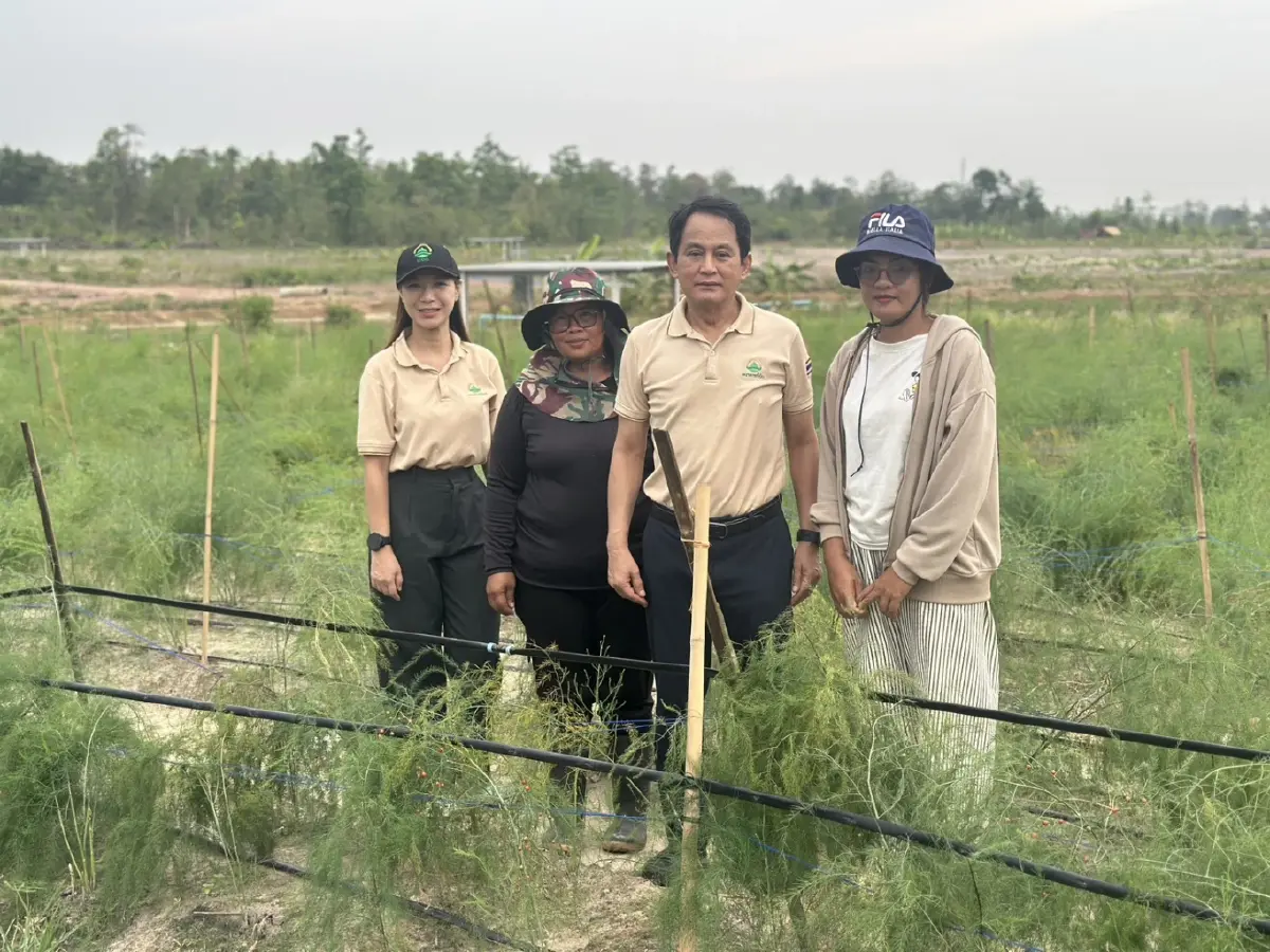 “ธนาคารที่ดิน” ลุยอุบลฯ เช็กความสำเร็จ “จิกเทิงโมเดล” ต้นแบบบริหารที่ดินยั่งยืน สร้างรายได้จริงให้เกษตรกร