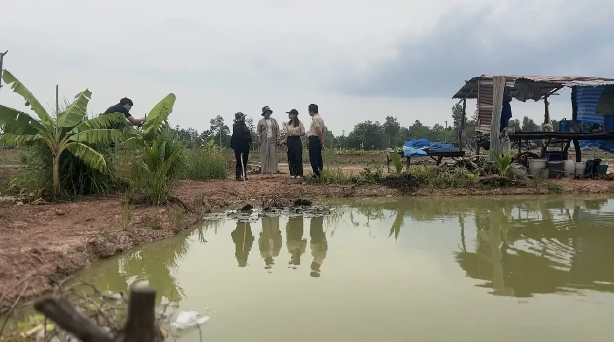 “ธนาคารที่ดิน” ลุยอุบลฯ เช็กความสำเร็จ “จิกเทิงโมเดล” ต้นแบบบริหารที่ดินยั่งยืน สร้างรายได้จริงให้เกษตรกร